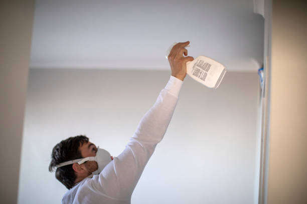 Best Post-Flood Mold Remediation in Bement, IL