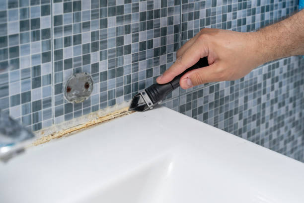 Best Emergency Mold Remediation in Bement, IL